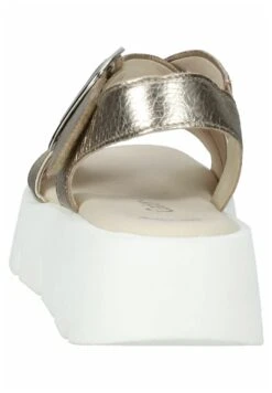 Gabor Sandalen - Puder -Gabor Schoenen 08f02f6e0bd142a0803d1aa172781aed