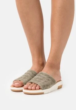 Gabor Muiltjes - Salvia