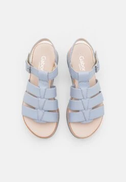 Gabor Comfort Sandalen Met Plateauzool - Sky -Gabor Schoenen ccea1ec4025f4312b6bf07225b61749a